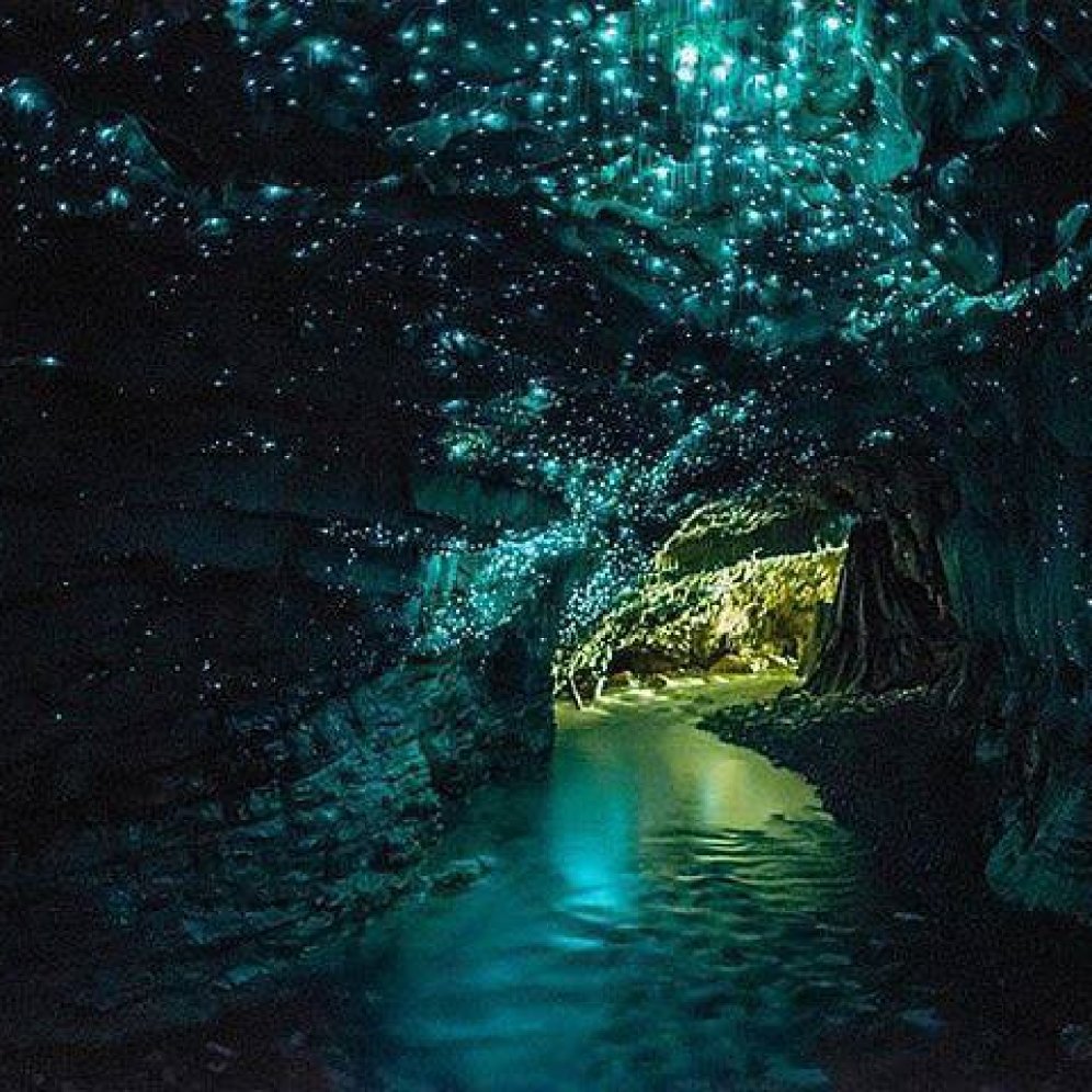 Glowworm-Caves-New-Zealand
